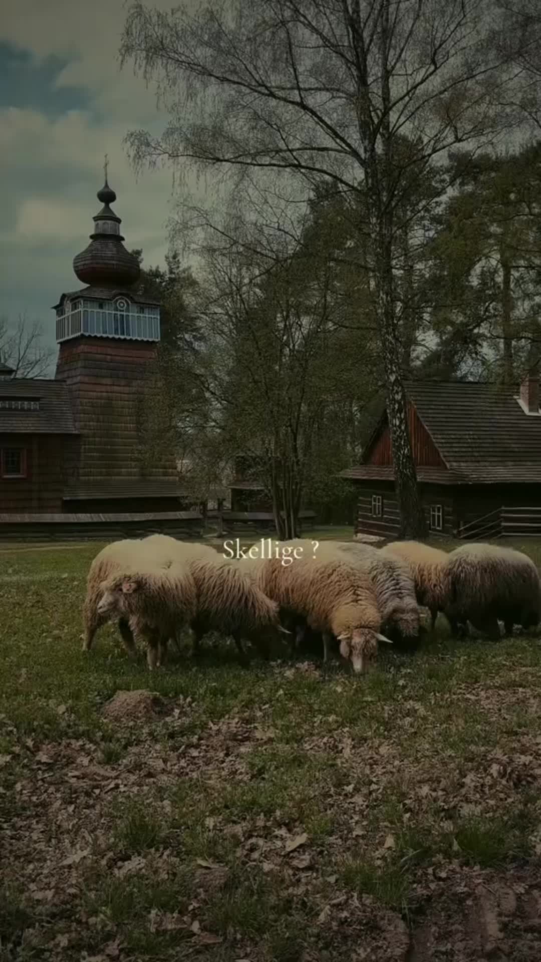 @Ellthalie