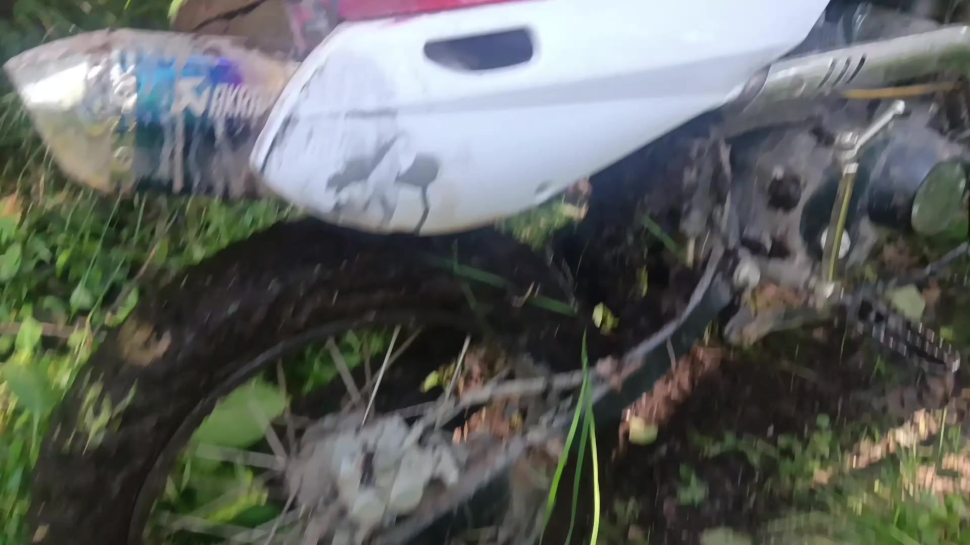 @orion125