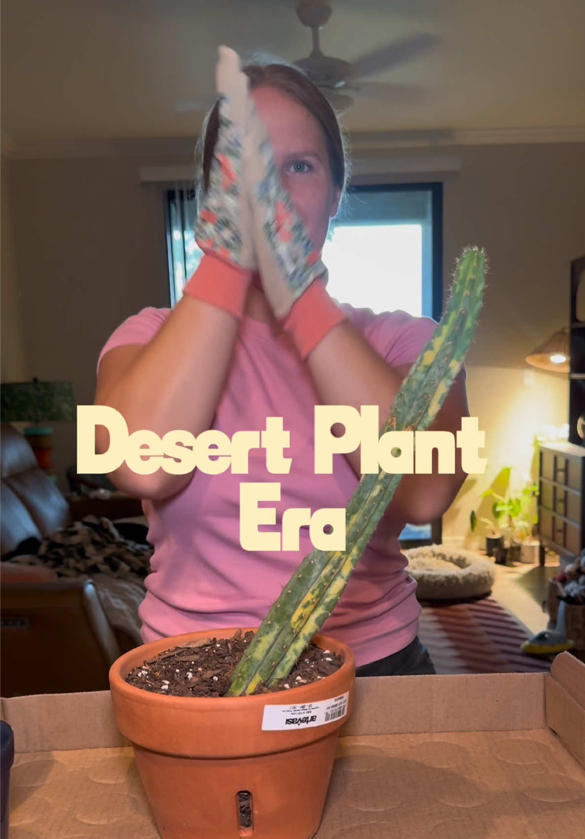 @emisuegrows