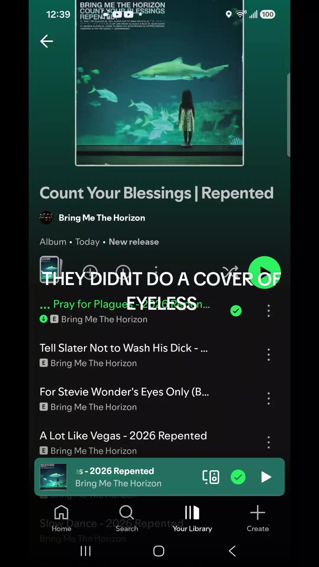 @slipknotfanvermillion