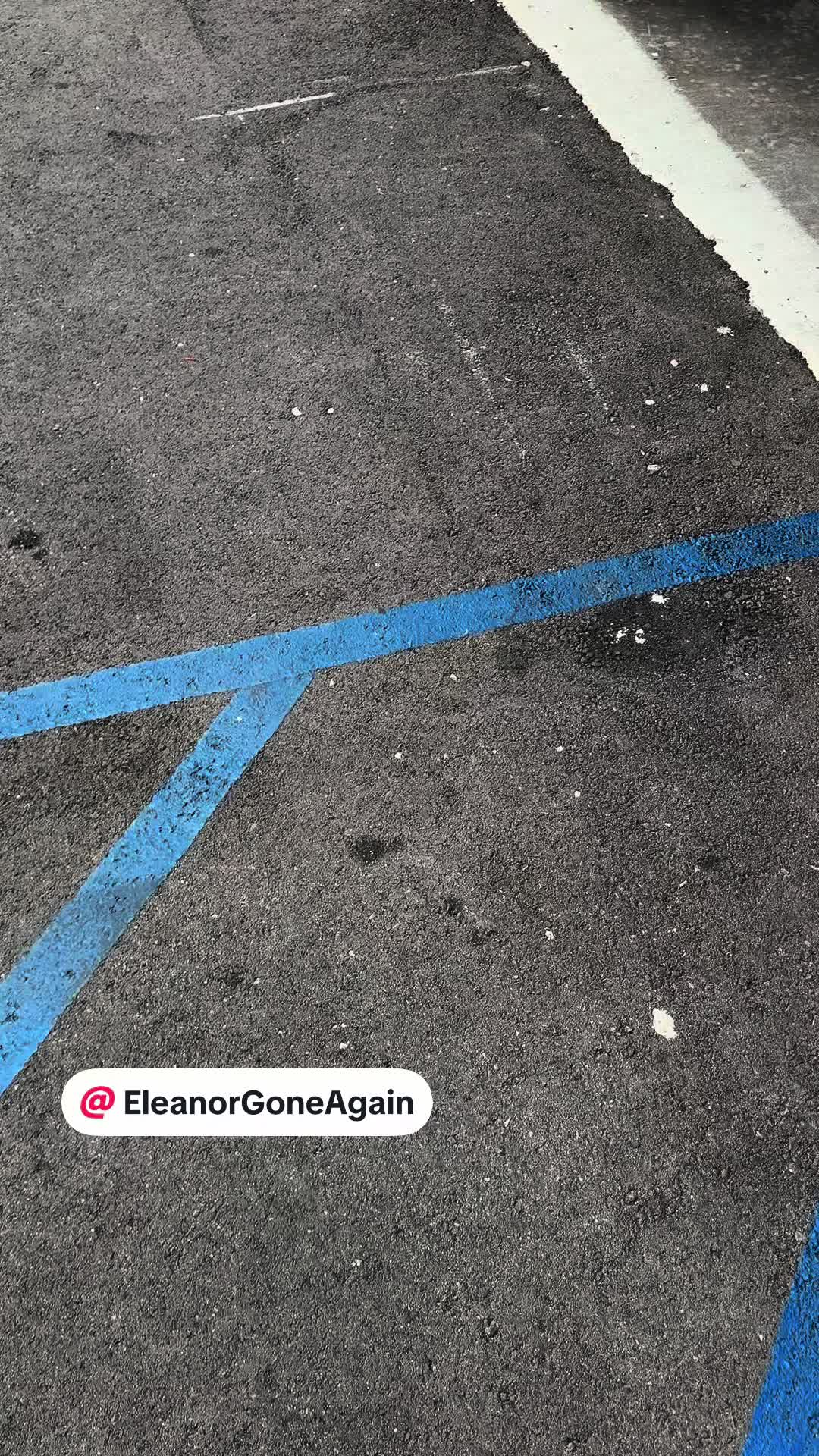 @zynema