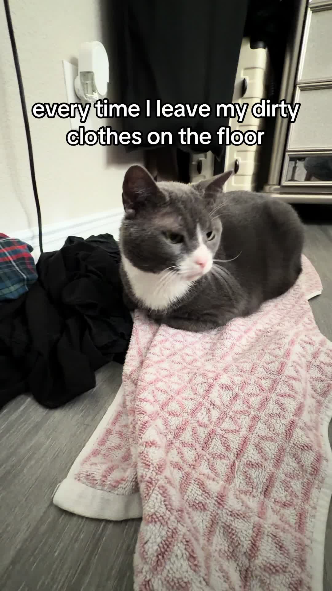 @stinkwalker