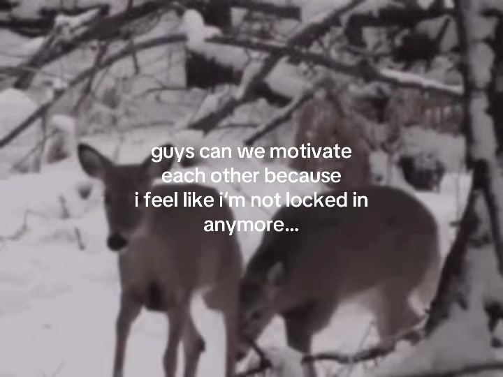 @anya 🤍