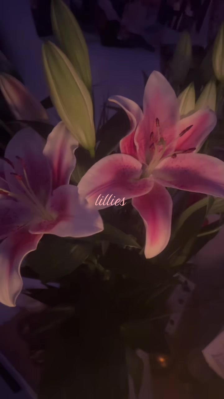 @lee🪽་༘࿐
