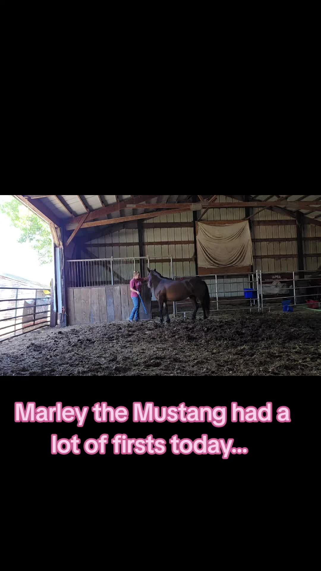 @Small Town Farm LLC