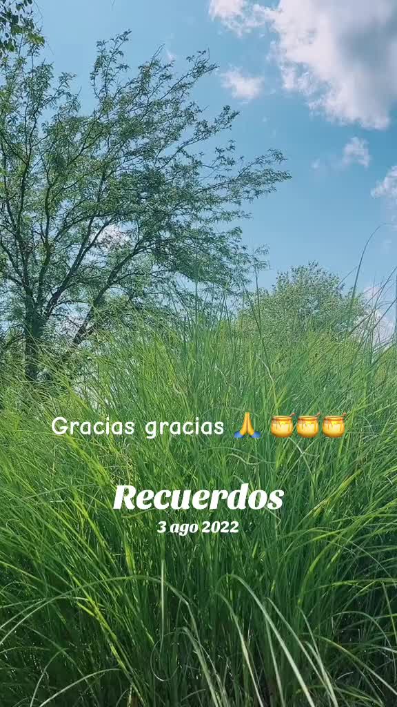 @Mujer medicina delas🌺abuelas