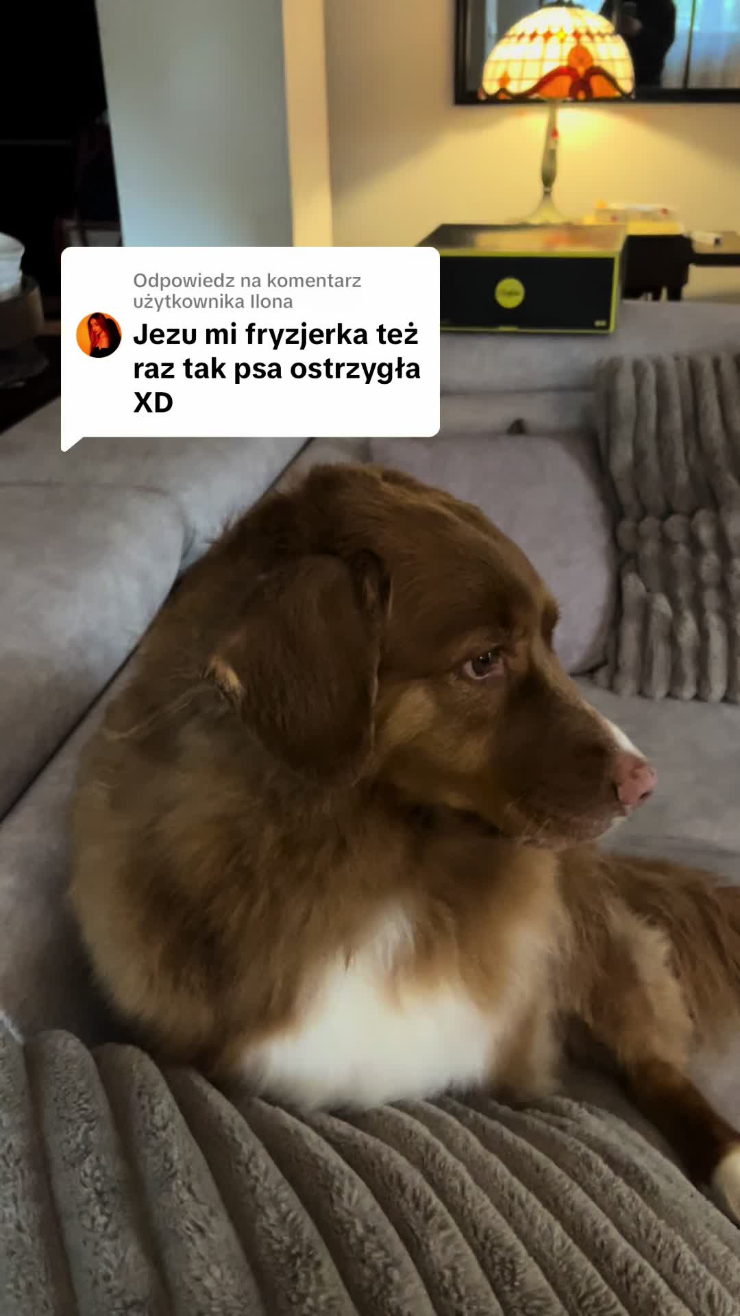 @oliwka