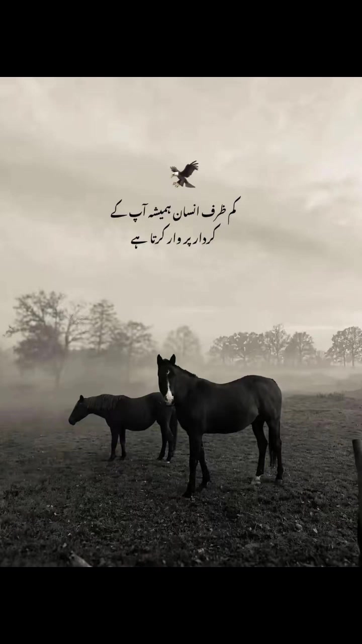 @🚨jutt sab🚓