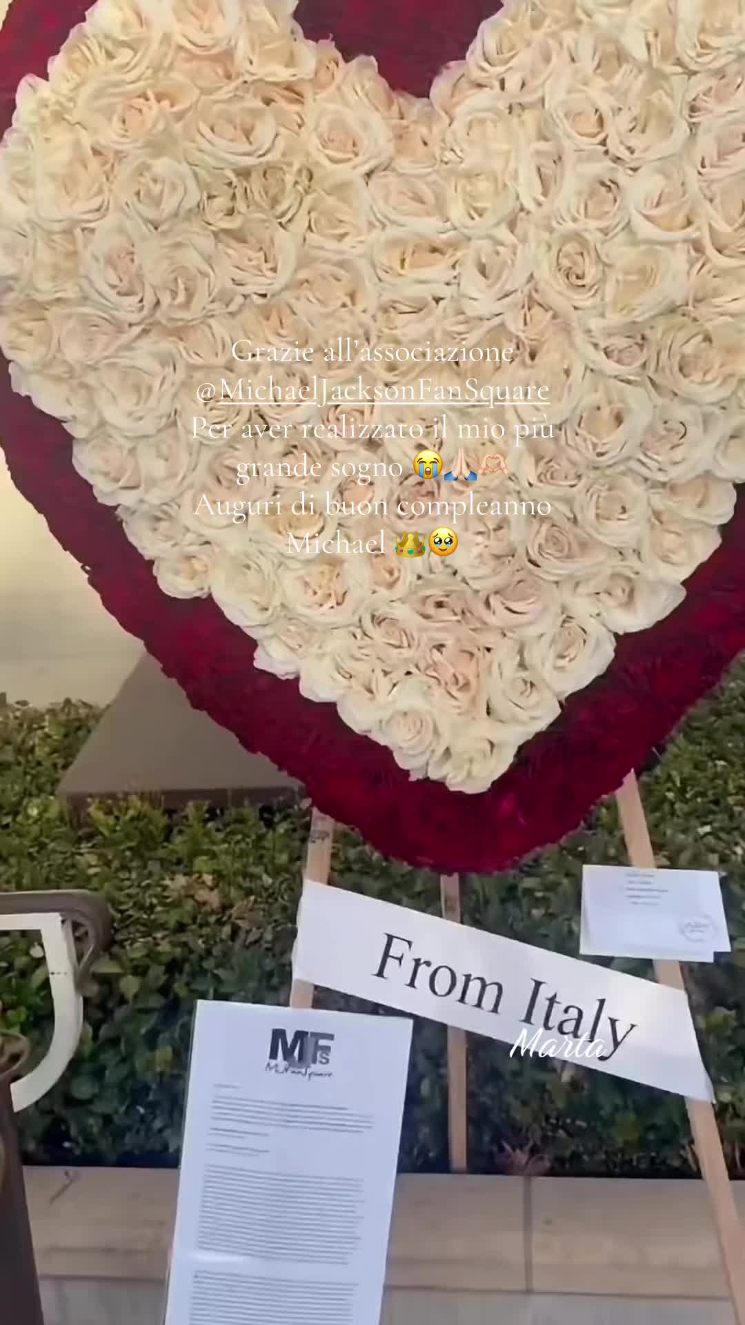 @Marta🦋✨👑 MJ