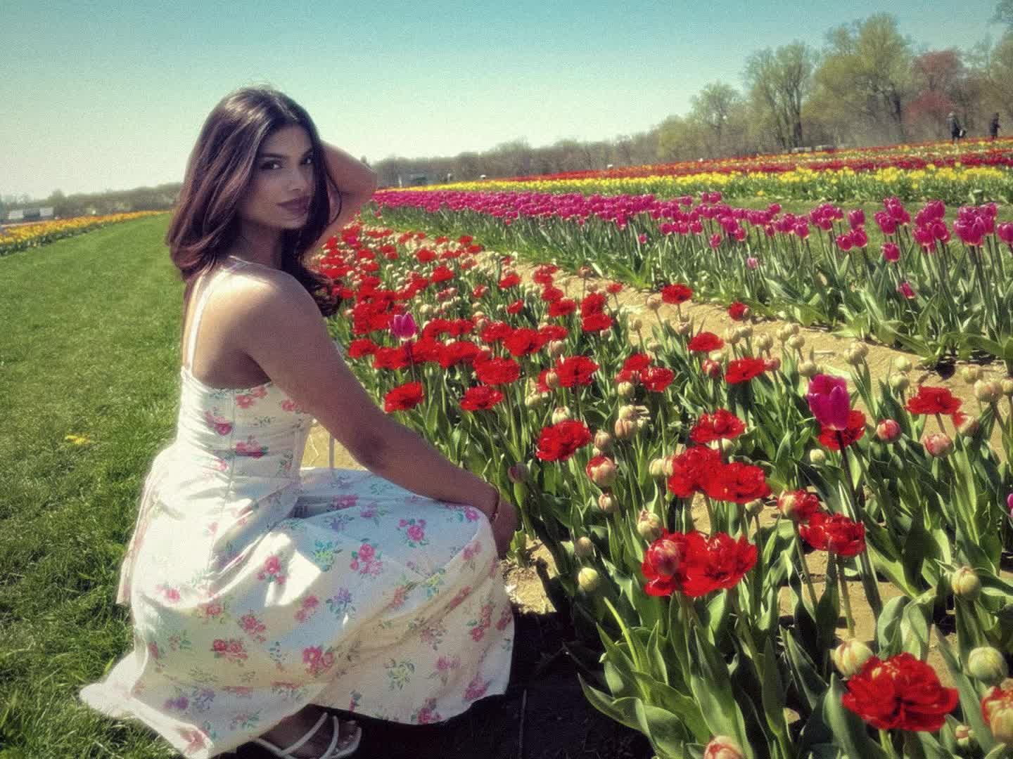 @मनिषा🦋