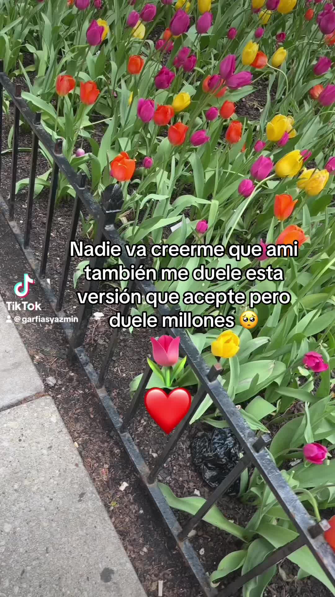 @❤️&zwj;🩹Yazmin1226❤️&zwj;🩹📌