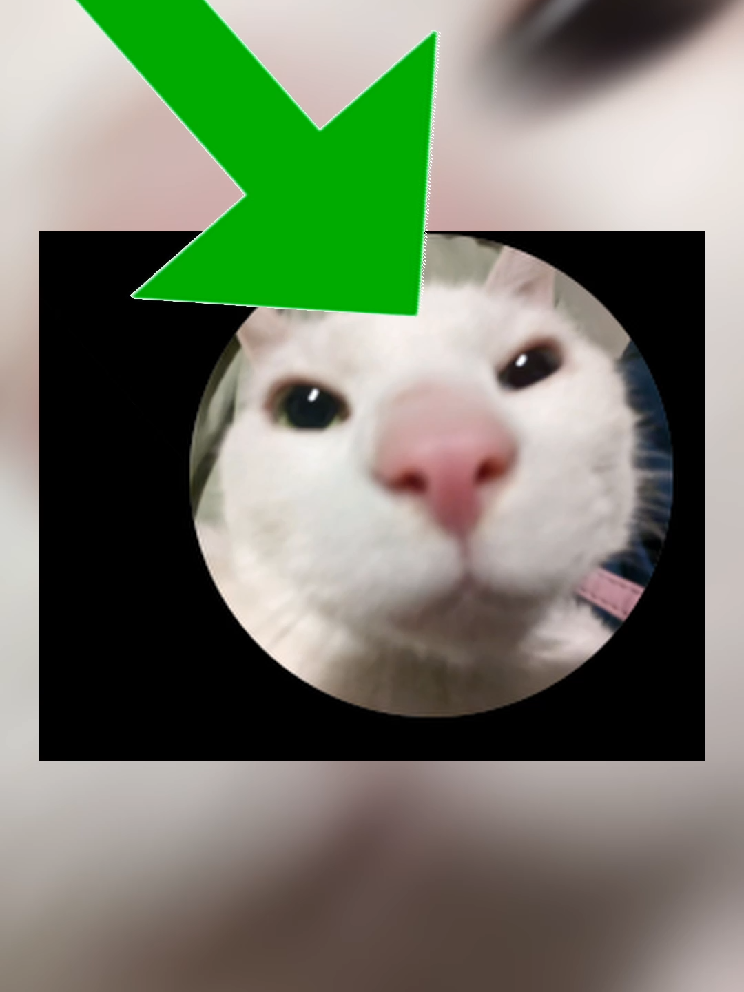 @John Clam ๐ต๐ธ๐๐๐