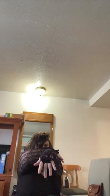 @gardenerofeves