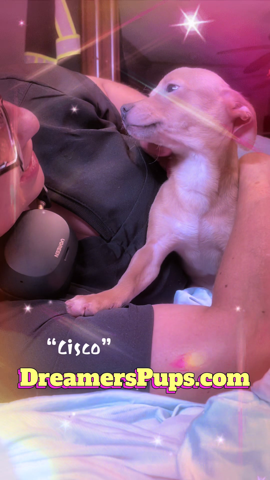 @PuppyMom