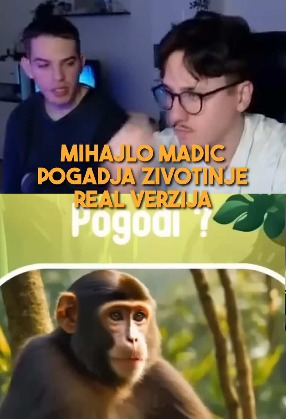 @Frodo Kliponoša