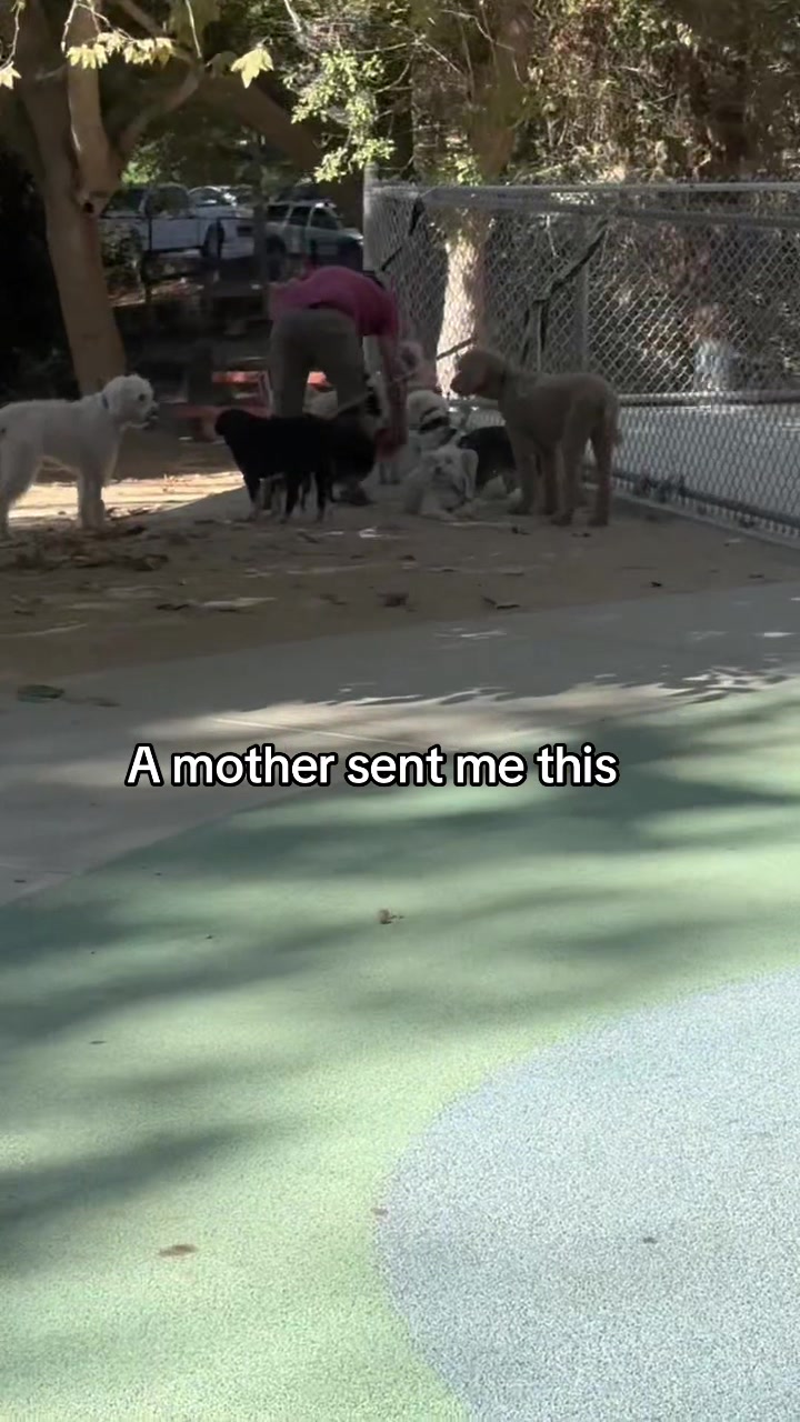 @Dogs aren’t Family