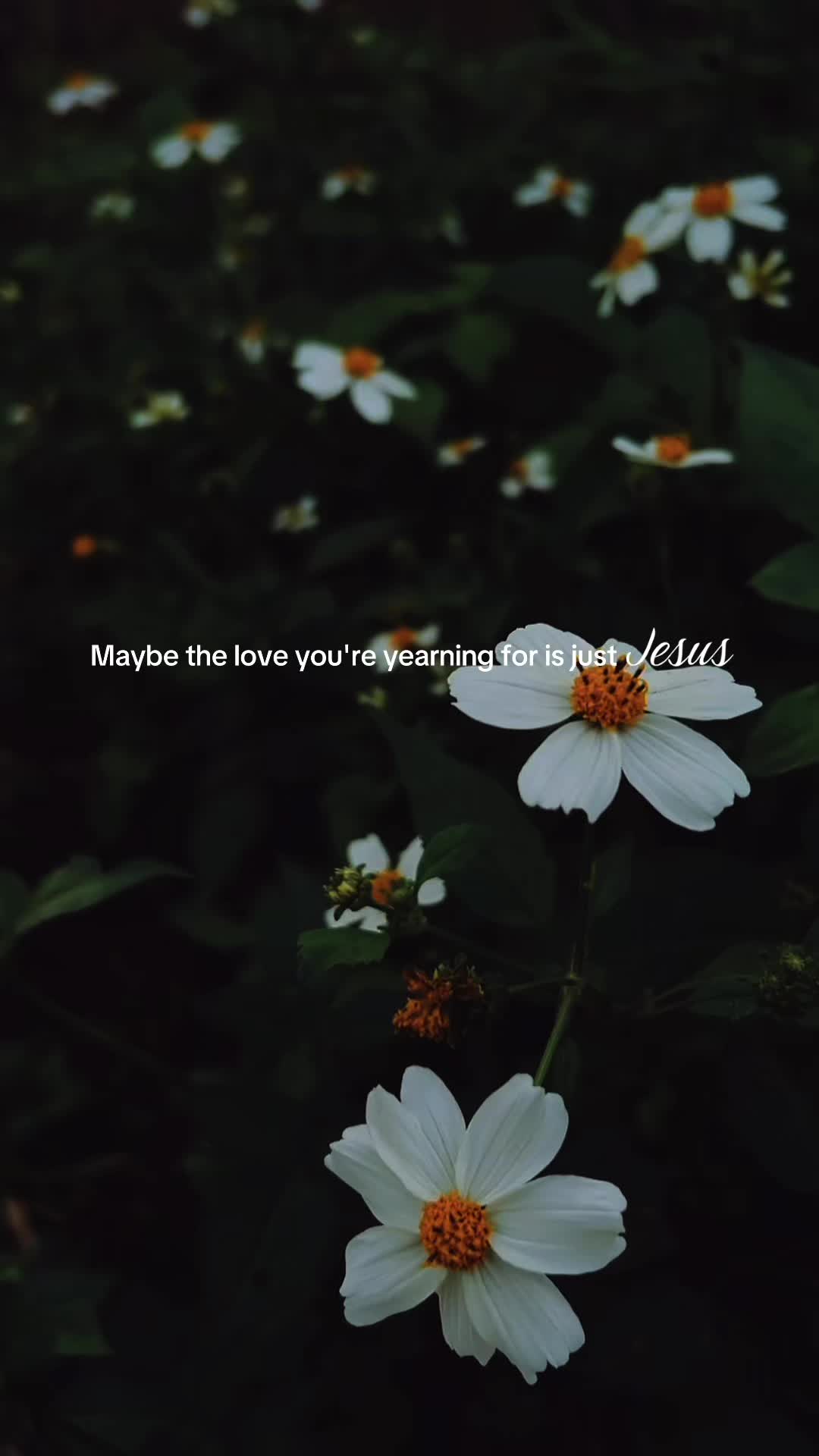 @stillheld.co