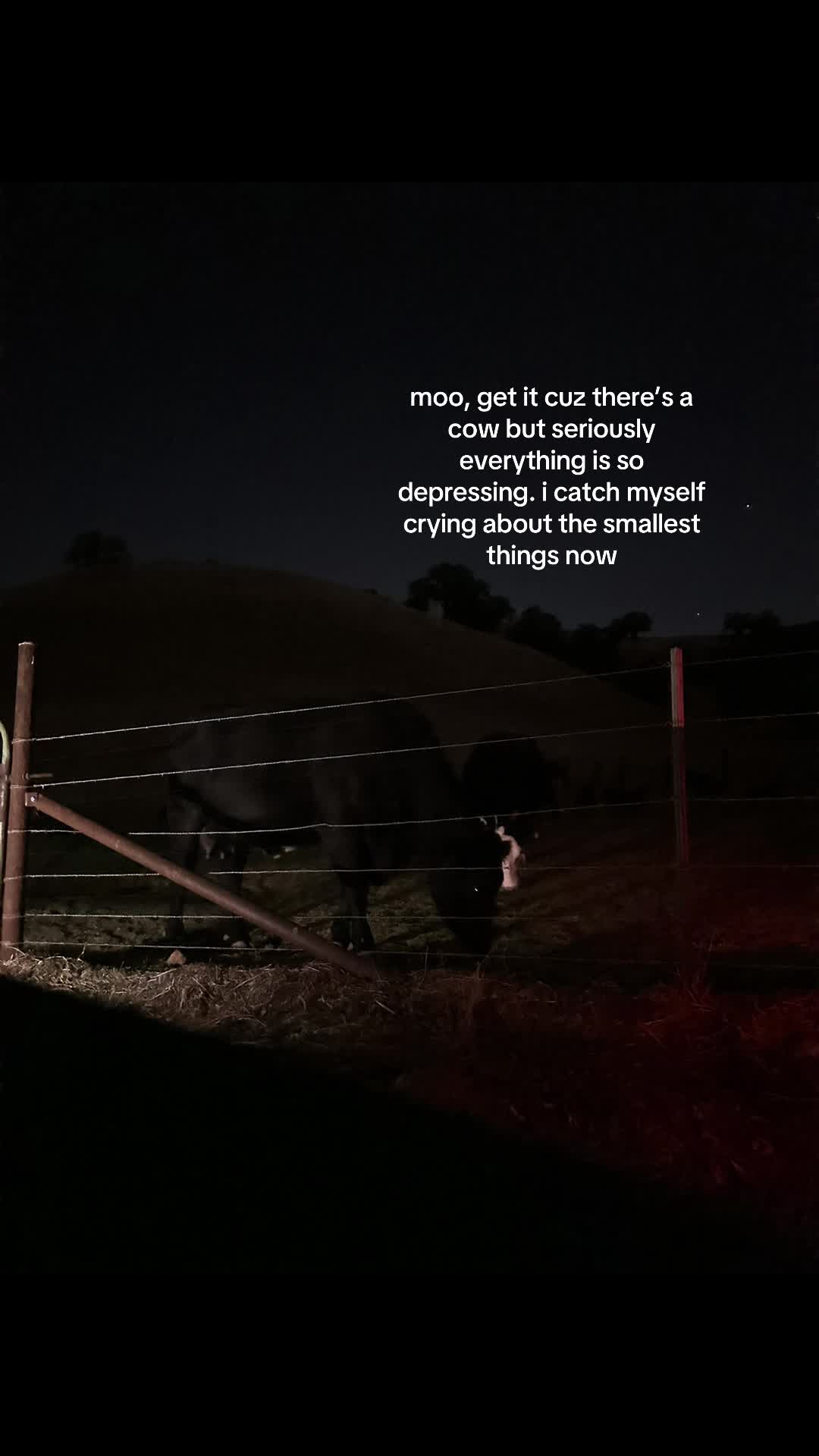 @user