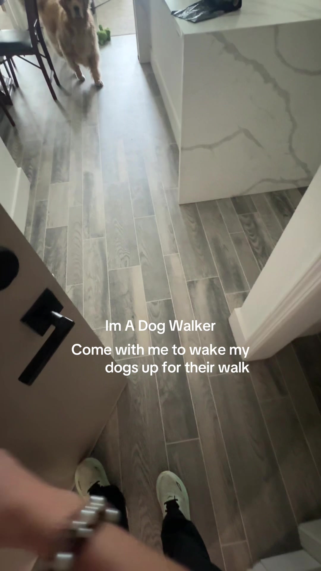 @dallasdogwalker