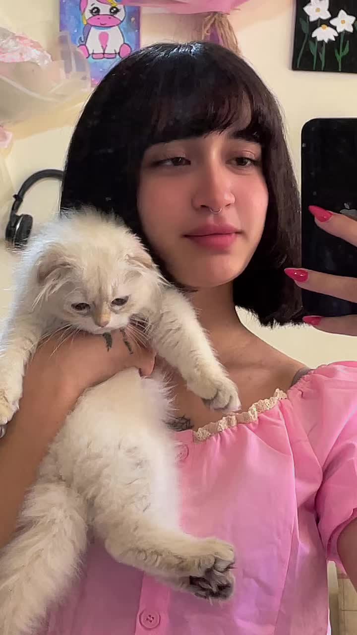 @sonia shahrokhi