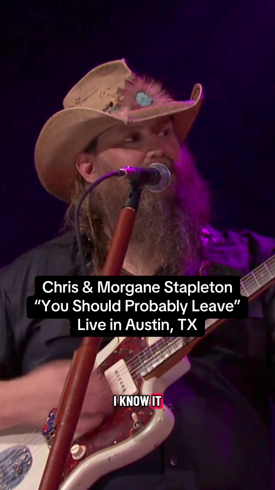 @Stapleton Fan