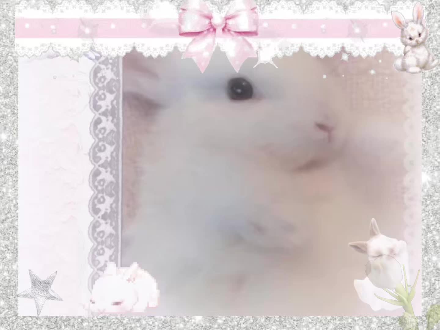 @kenni.