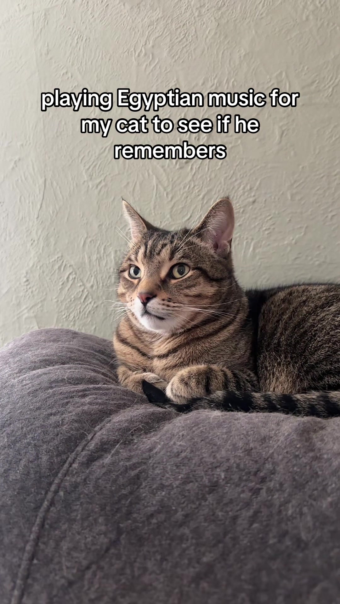 @deviled🐣egg