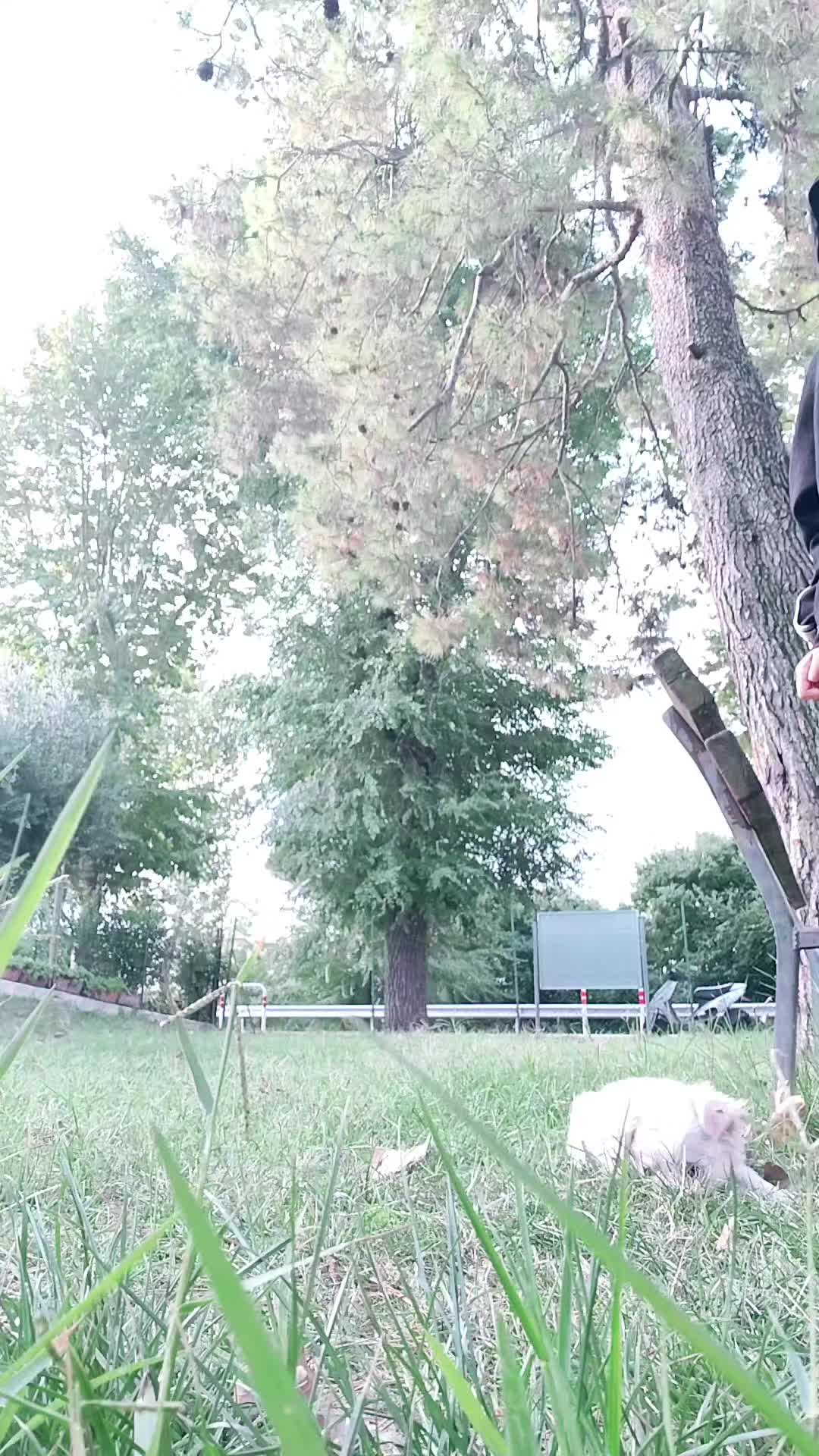 @💋Moldoveanca💋