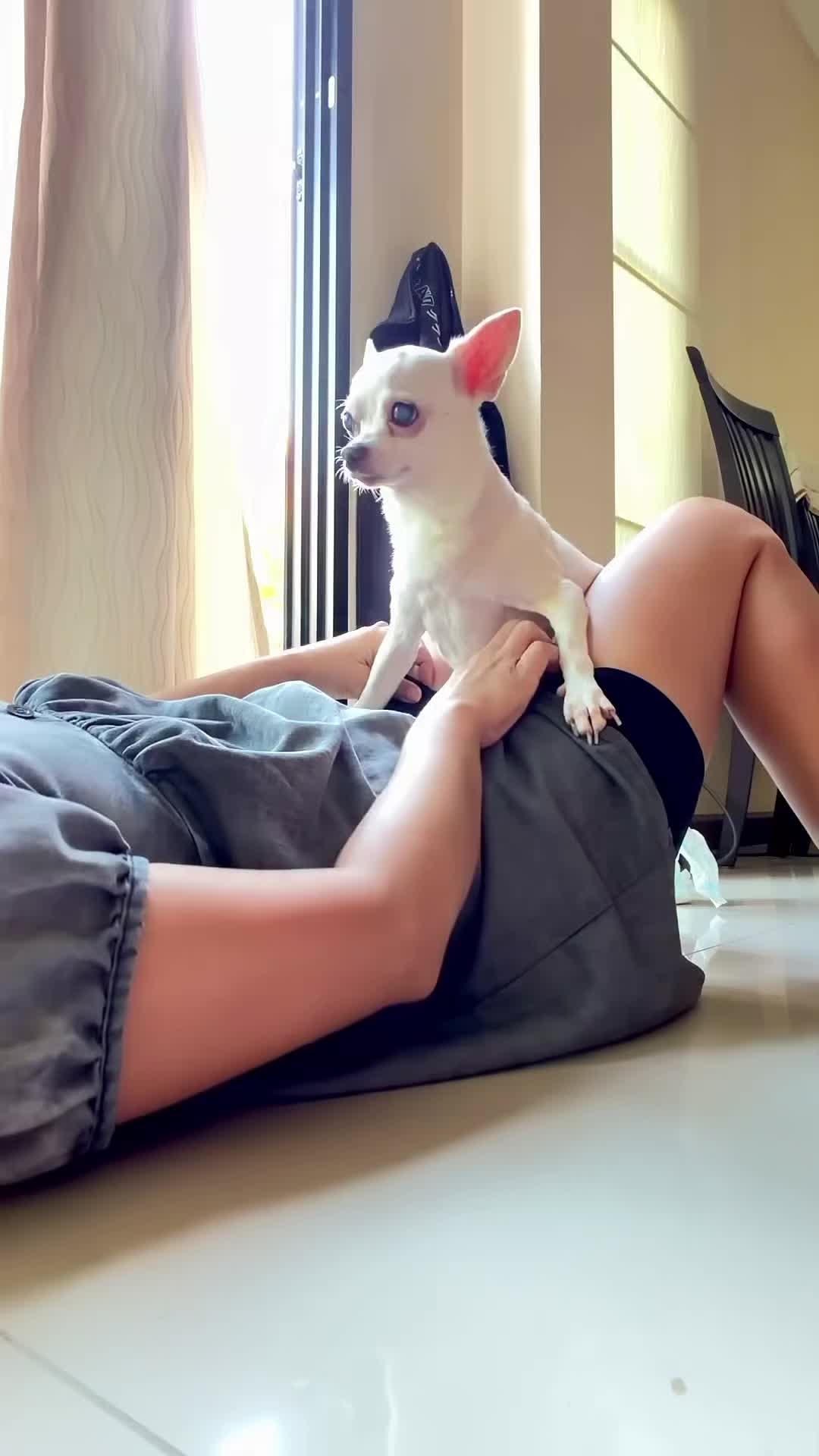 @dog lovers