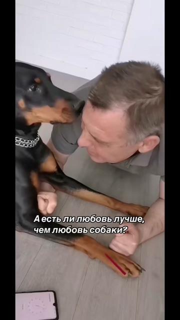 @Доберман Шелби