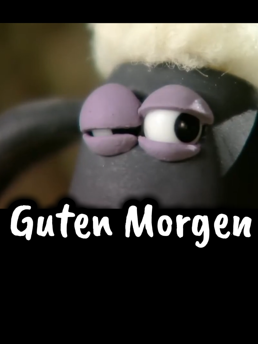 @zahnzaubermaeuschen