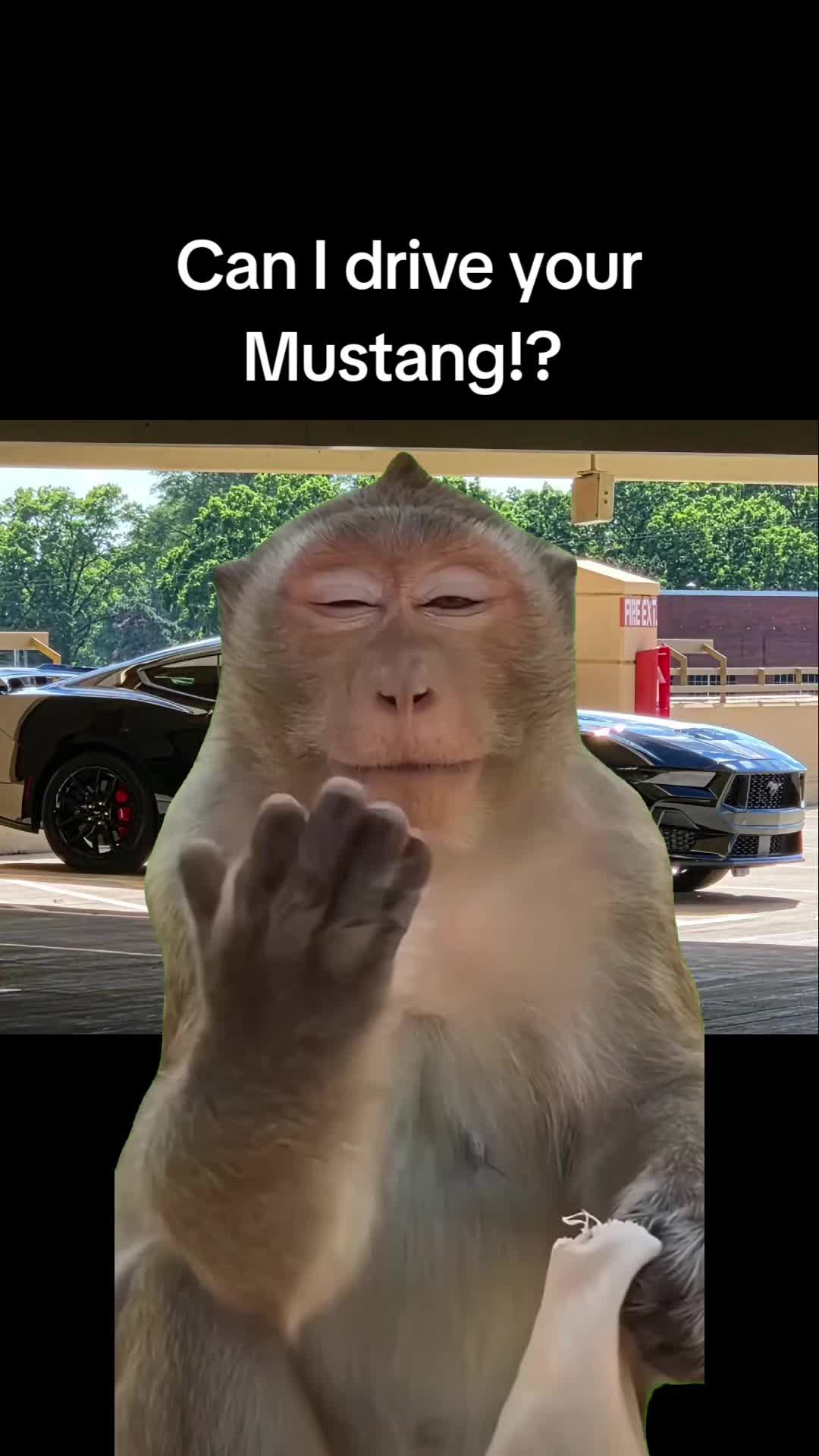 @Lee aka (Big Dawg)