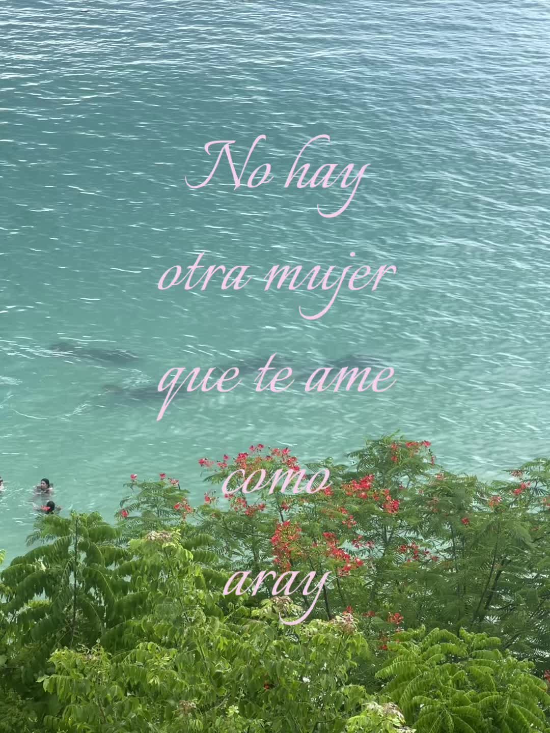 @阿雷’ᥫ᭡.