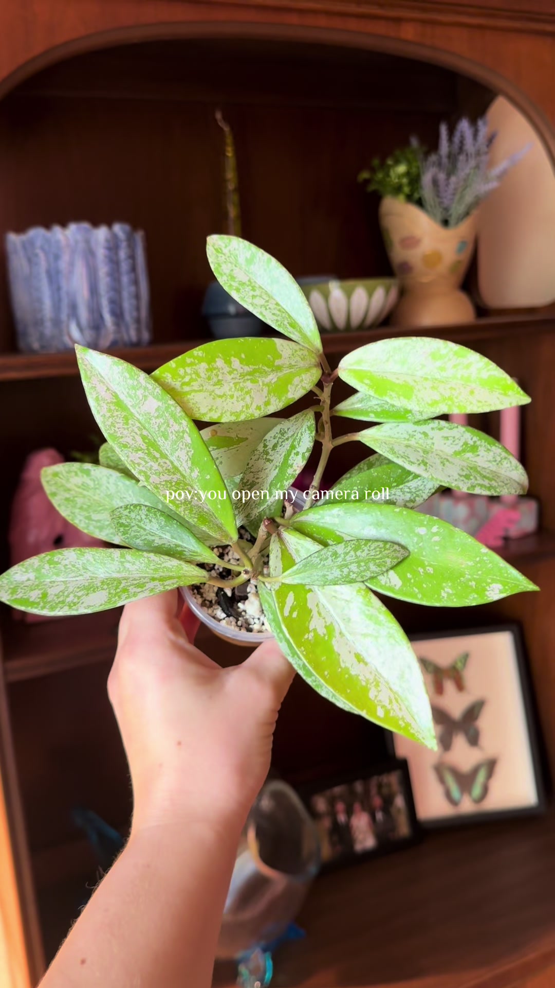 @Emily | Plants + Life