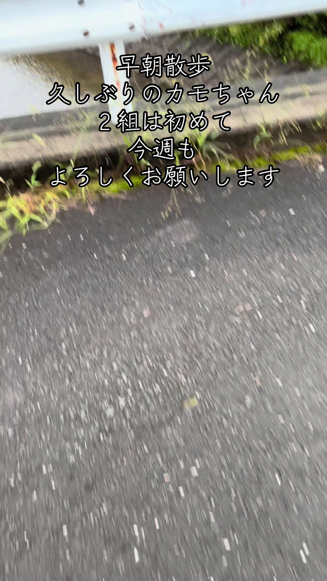 @くーちゃん