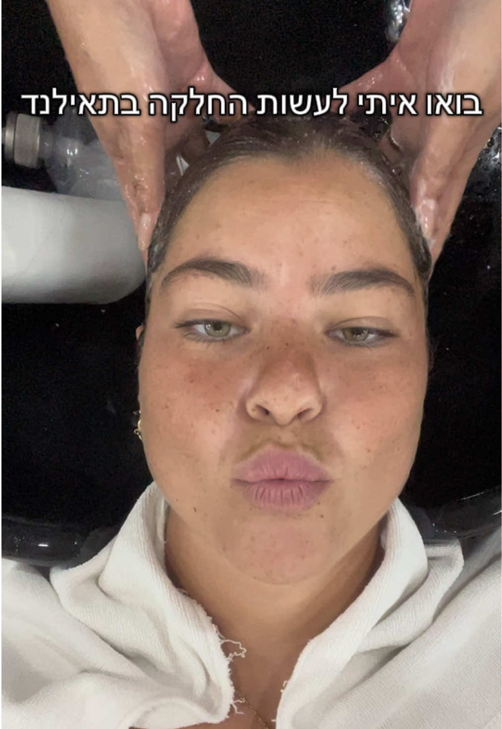 @shachafi