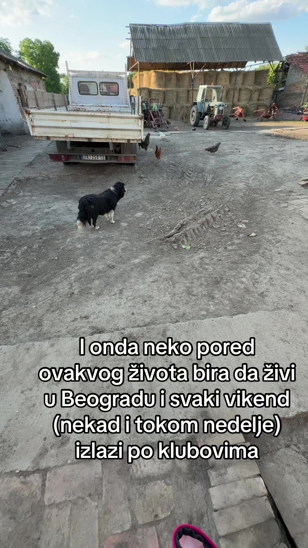 @Senkić 🎀