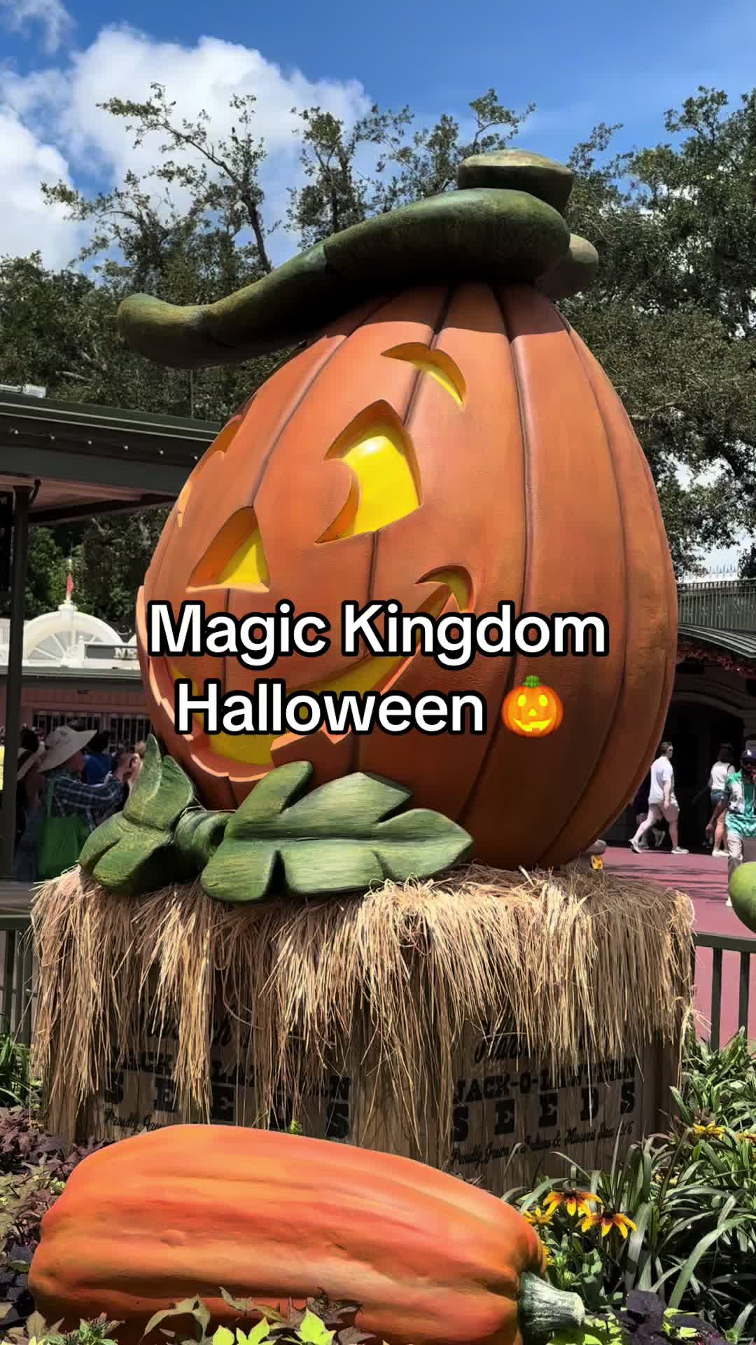 @Orlando Experience