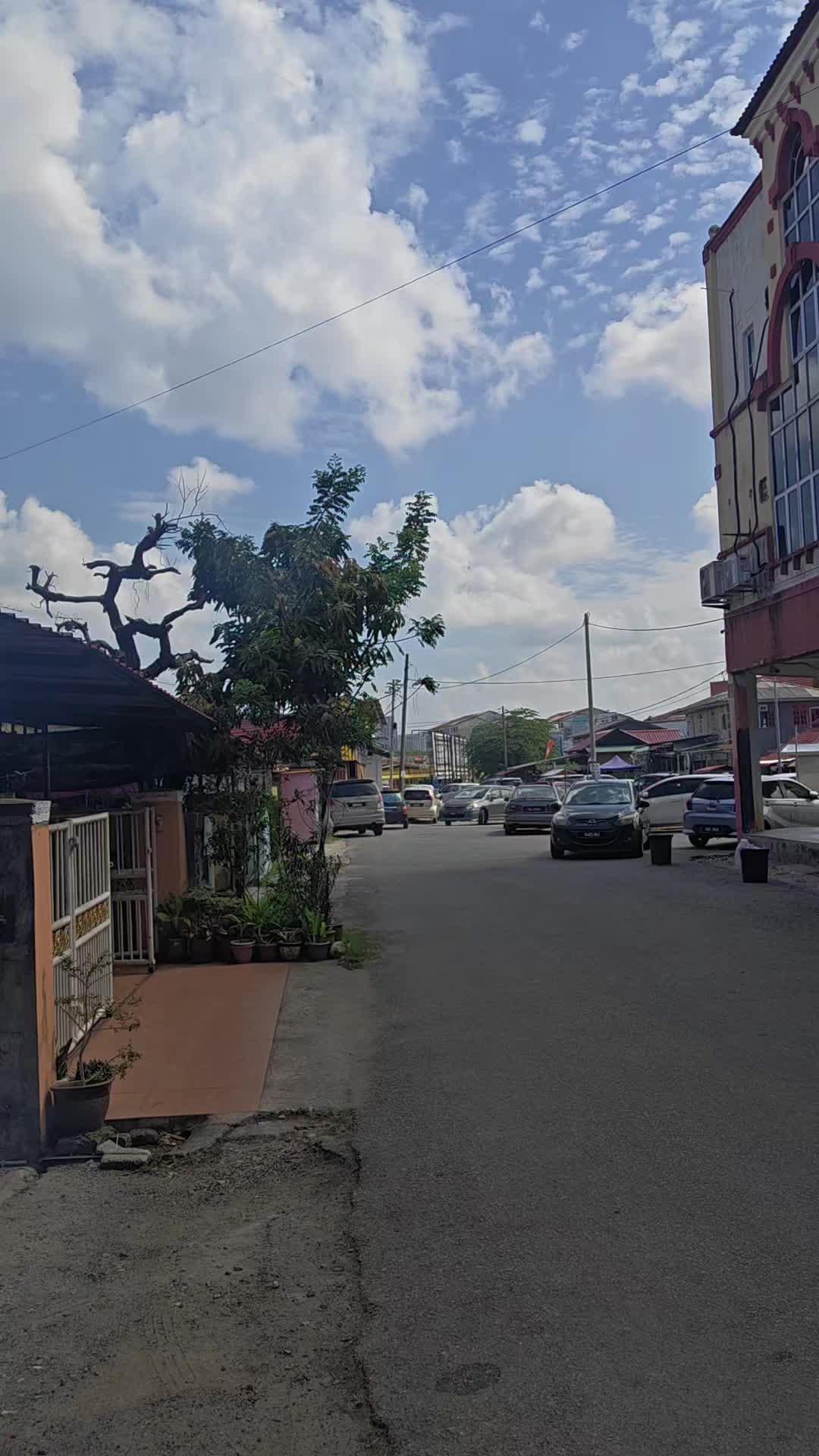 @PERUT AYAM PERCIK (KB)