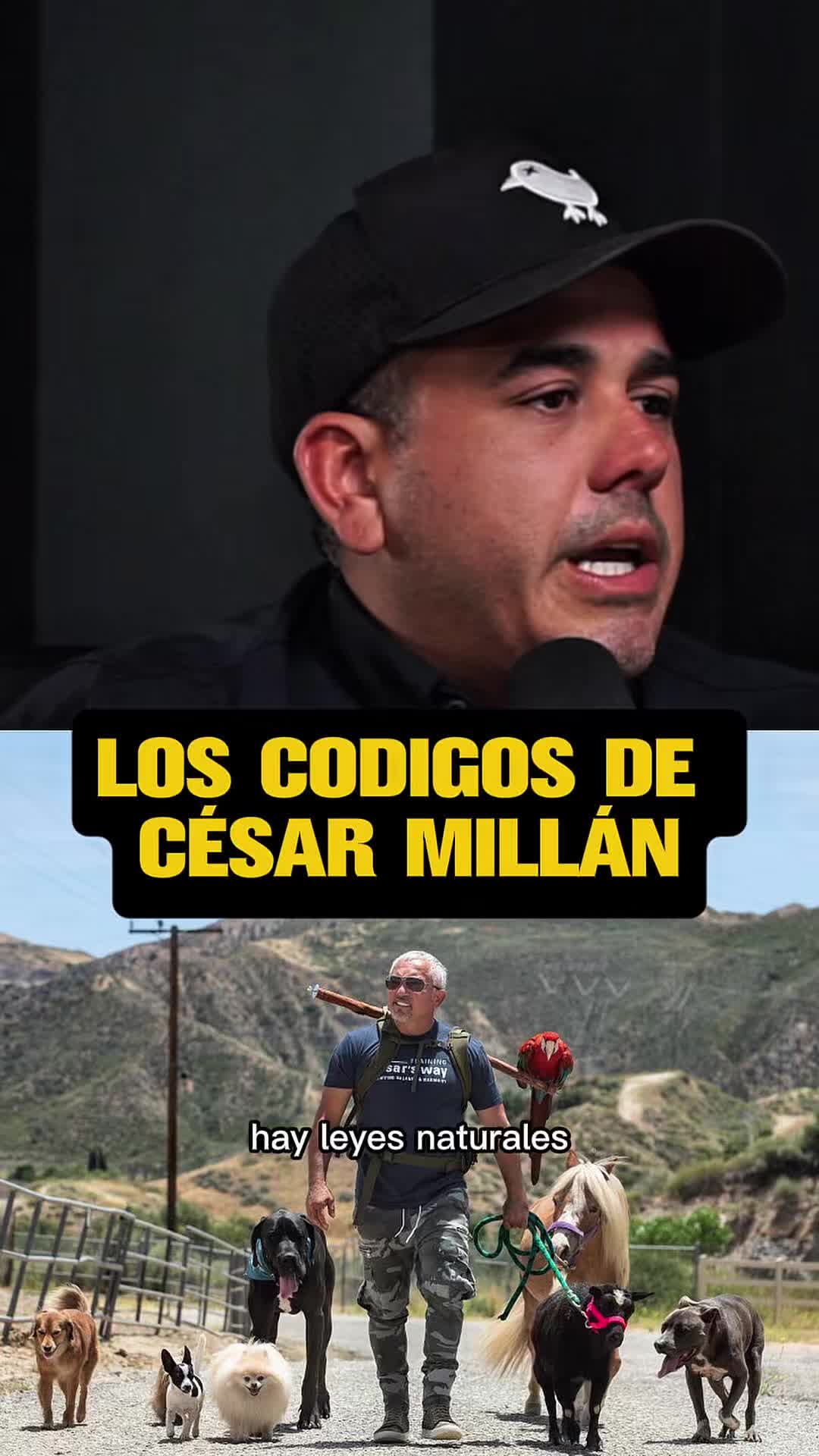 @Juan Víctor