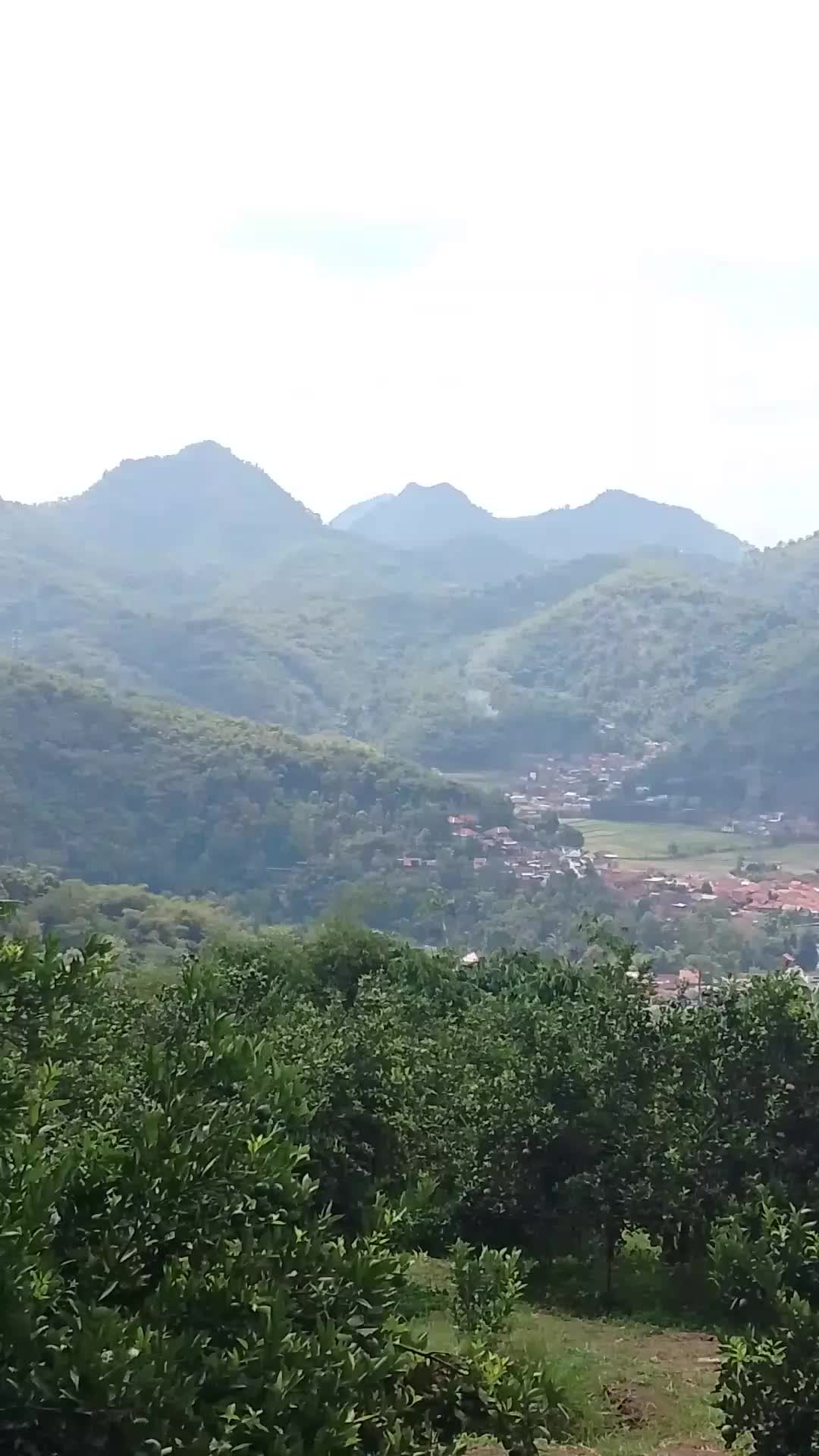 @jajang dega