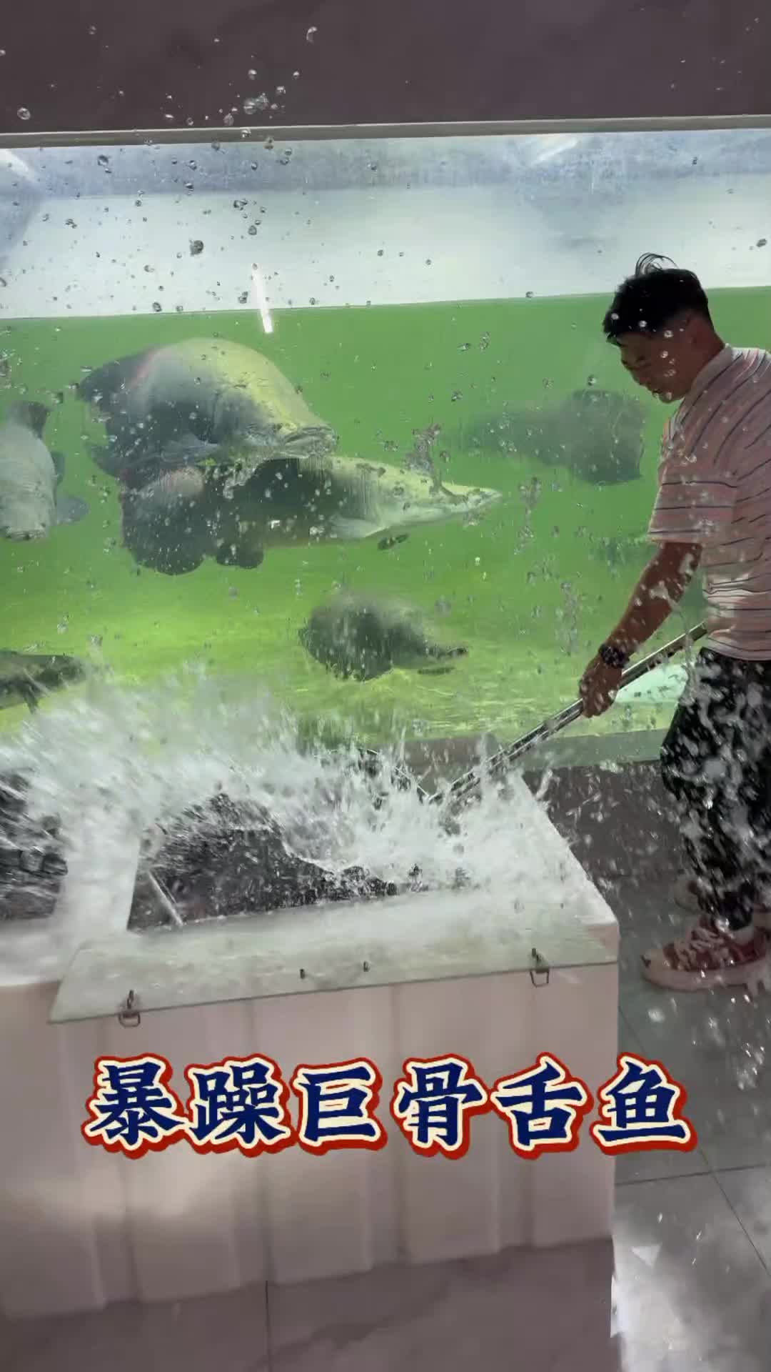 @Monsterfishkeeper