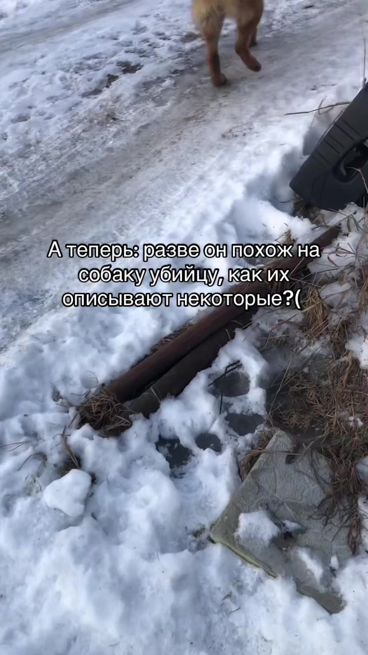 @#вайс