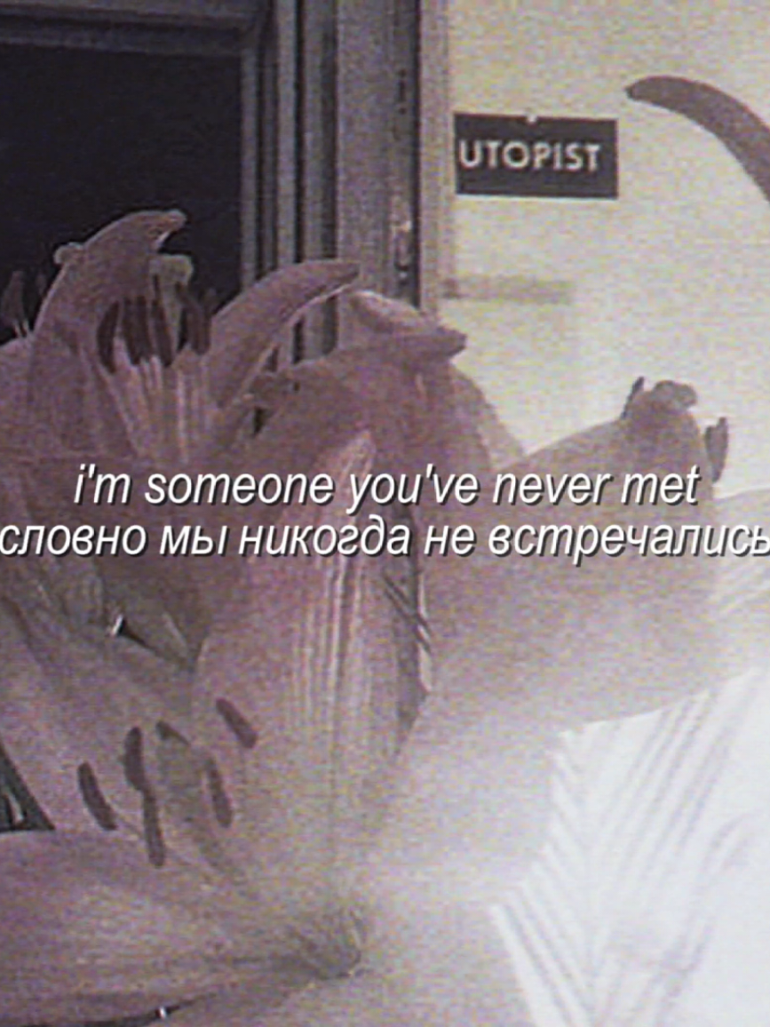 @'.𝙚́𝙪𝙥𝙝𝙤𝙧𝙞𝙖`🪷 ˎˊ˗