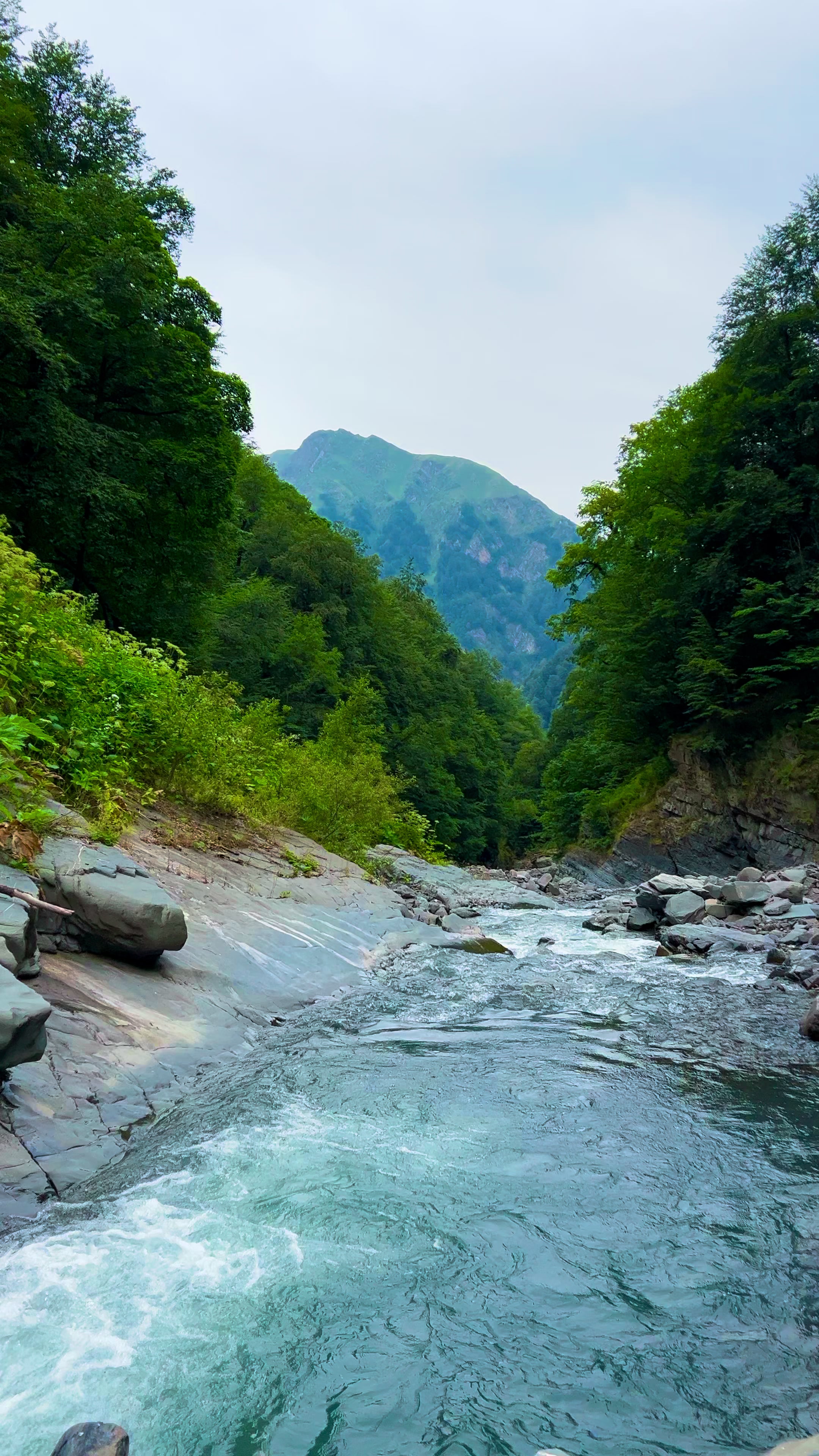 @𝑨𝒅𝒊𝒍𝒐𝒗🌿