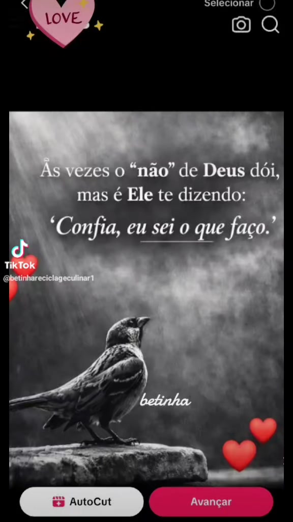 @Arinda Dias