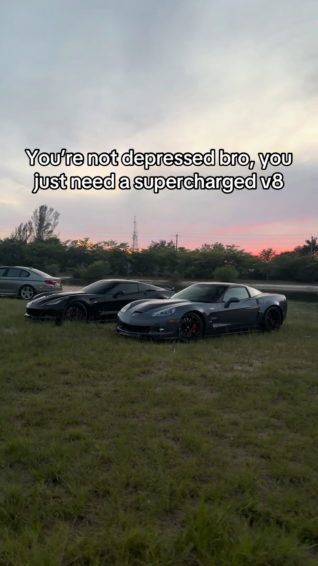 @collier🦇