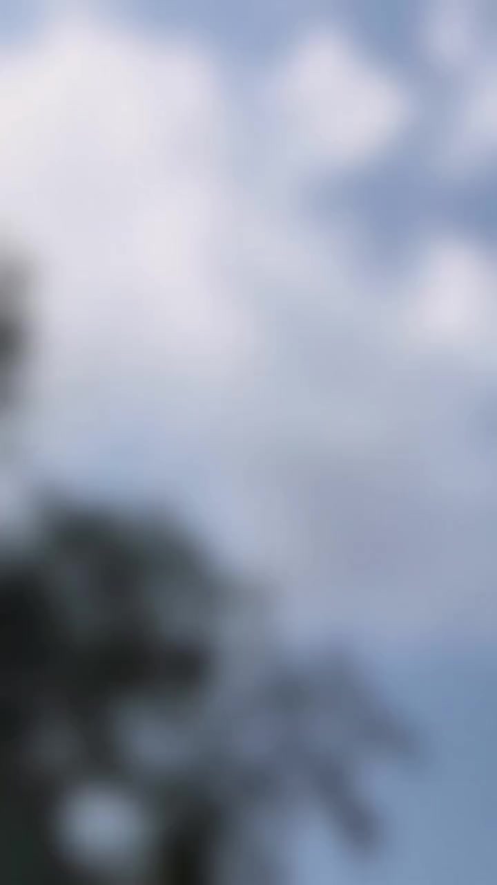 @Jani0099