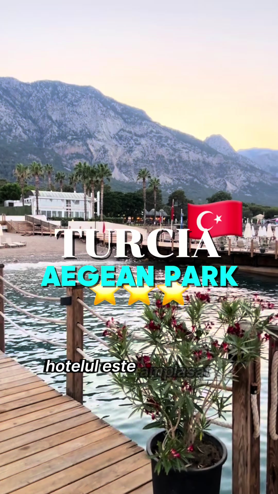 @Teletur