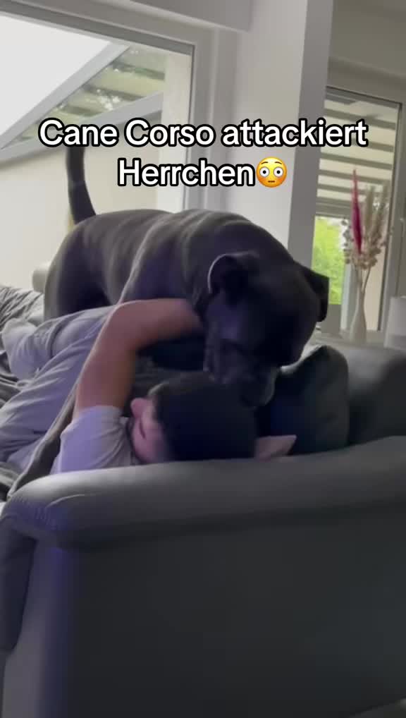 @luca29.7